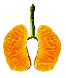 orange slice lung
